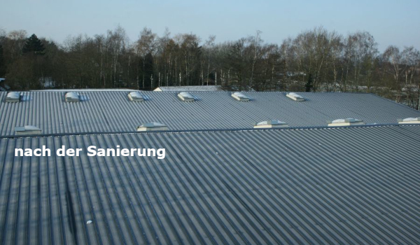 sanierung-609.jpg